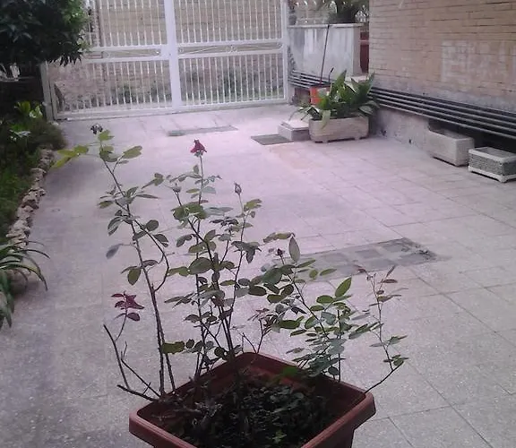 לינה וארוחת בוקר Pinotta's House