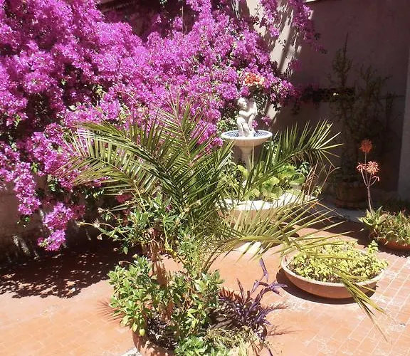 לינה וארוחת בוקר Pinotta's House *