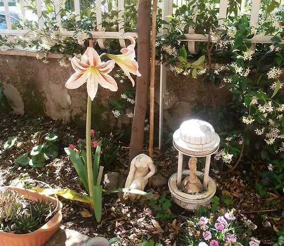 לינה וארוחת בוקר Pinotta's House *